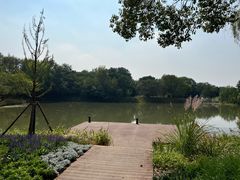 -梁鸿国家湿地公园