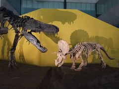 -湖南省地质博物馆