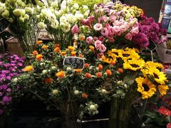 -豆豆花艺(新光天地店)