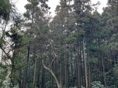 -狼山风景名胜区