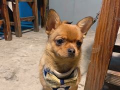 -聚贤庄(万江店)