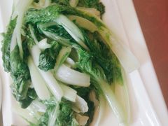 素炒小白菜-辛记豆汤家常菜(芳草街店)