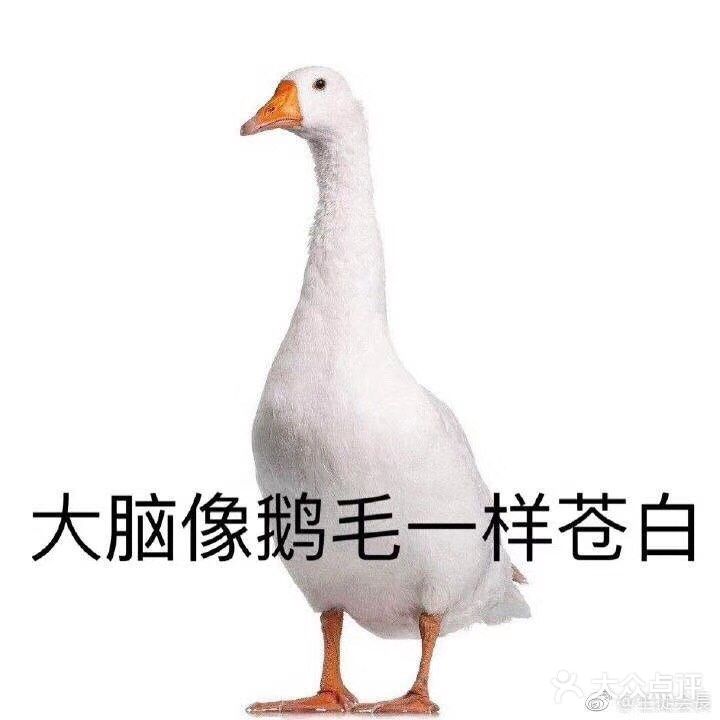 声都不敢奏哟 咱也不敢问哈哈