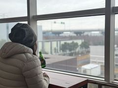 -临港奉贤体育中心
