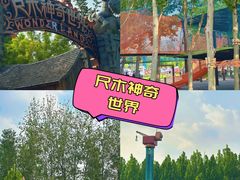 -尺木神奇世界