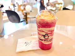 -飞行喵MR PILOT|猫舍·猫咖(静安大融城店)