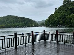 -江西阳明山国家森林公园