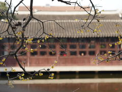 -艺圃