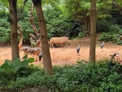 -广州长隆野生动物世界