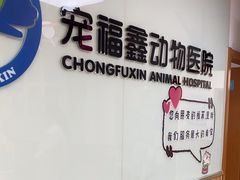 -宠福鑫动物医院(城北分院)