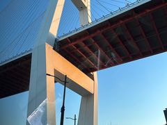 -外滩1288花园丽舍