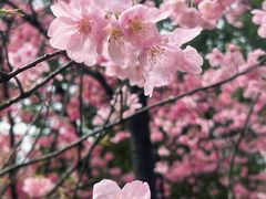 -东湖生态旅游风景区