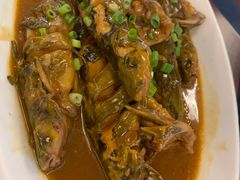 -齐河·老东家·民间菜·地标特色美食