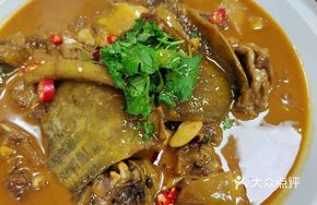 Softshell Turtle Rice