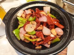 xo酱大肠煲-肥仔文澳门猪骨煲(南京西路店)