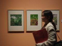 -江苏省美术馆(长江路新馆)