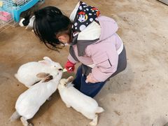 -前小桔亲子创意农场·草莓采摘·露营烧烤