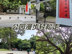 -晓港公园