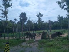-秦皇岛野生动物园