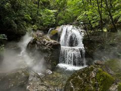 -牛背梁国家森林公园
