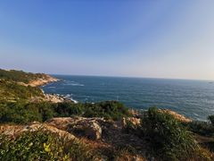 -广东惠东海龟国家级自然保护区