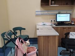 -萌兽医馆·犬猫专科·眼科中心·宠物医院(朝阳门分院)