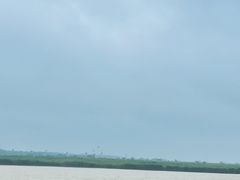 -盐城丹顶鹤湿地生态旅游区