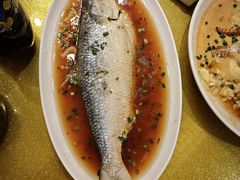 酒香蒸鲥鱼-宋园·金宴浙鲜馆(静安店)