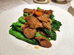 -南海渔村(珠江新城店)