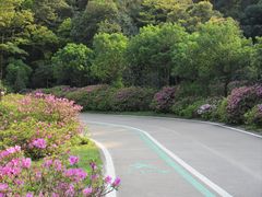 -梧桐山风景名胜区