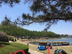 -丁香湖公园