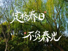 -嘉北郊野公园