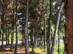 -南京市无想山景区