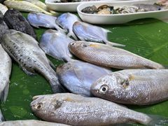 -天盛海鲜烧烤大排档·本地小海鲜·牟平腿穗子(幸福店)