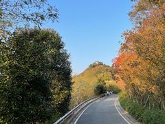 -树山生态村