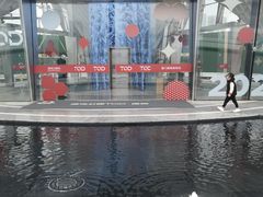 -五缘湾湿地公园
