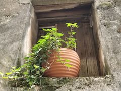 -东梓关景区村庄