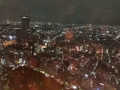 -东京都厅舍