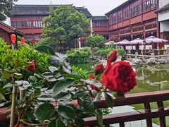 -祝家花園(伯渎港店)