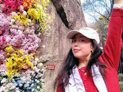 -秦岭终南山世界地质公园翠华山景区