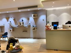 -Pets First伊珊娜洗护·精致美容·家庭式寄养(新会路店)