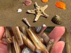 -巧克力渔家.小船海鲜家常菜(万平口店)