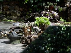 -炊烟餐厅