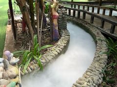 -呀路古热带植物园