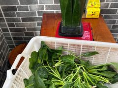 -手擀菠菜面(西康路店)