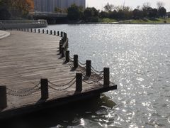 -映月湖中央公园