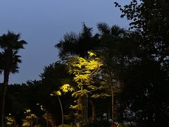 -深圳湾公园(南山区)
