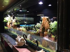 -泰谷酒店·太古码头闽菜自助餐厅