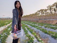 -光明小镇欢乐田园