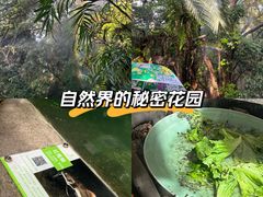 -青青世界